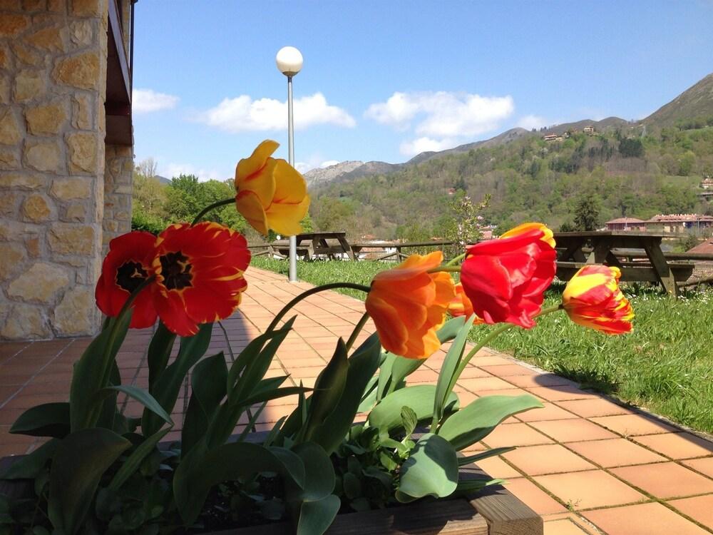 Apartamentos Aldea Del Puente Cangas de Onis Luaran gambar